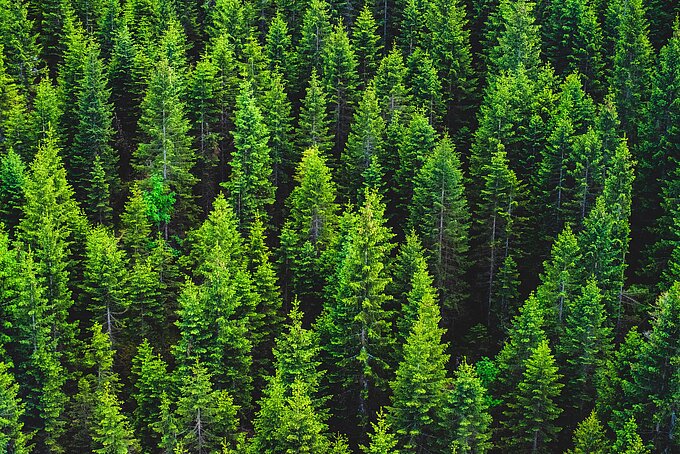 sven-mieke-DOm31UtmnL8-unsplash.jpg sven-mieke-DOm31UtmnL8-unsplash.jpg